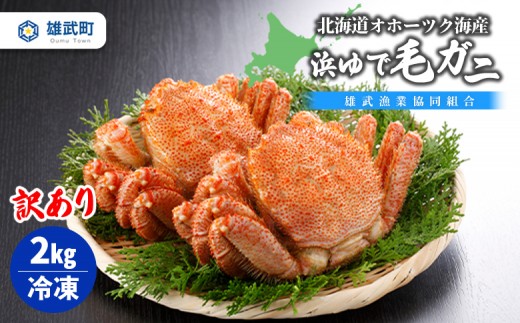 北海道オホーツク海産 訳あり　浜ゆで毛ガニ　2kg（冷凍）