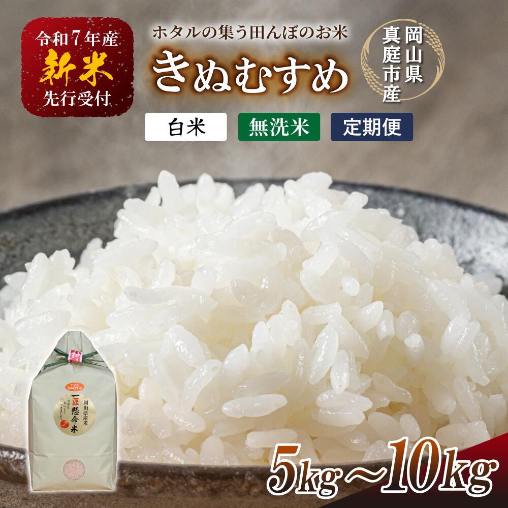【ふるさと納税】 【令和7年産先行予約】 令和7年新米 真庭市産 きぬむすめ 白米 白米 無洗米 5kg 10kg 定期便 3回 6回 12回 / お米 国産 岡山県 真庭市 白米 米 きぬむすめ キヌムスメ 人気 ブランド米 新米 精米 先行予約 定期便 令和7年産 2025年産
