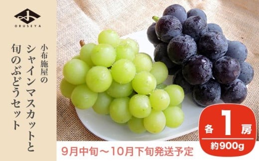 
                  シャインマスカットと旬のぶどう 詰め合わせ 各1房 約900g［小布施屋］ 食べ比べ 果物 詰合せ セット フルーツ ぶどう 詰合せ 数量限定 長野県産 信州産 2種 くだもの フルーツセット おまかせ ブドウ  2026 先行予約 令和8年産 【2026年9月中旬～10月下旬発送】 ［A-229］
                