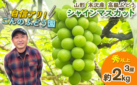 大人気！【こんのぶどう園】山形本沢産 高級ぶどう シャインマスカット 3房【令和8年産先行予約】FS25-721 フルーツ くだもの 果物 山形 山形県 山形市 ぶどう 葡萄 ブドウ セット 2026年産  