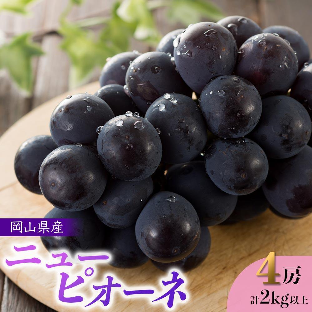【ふるさと納税】ぶどう 2026年 岡山県産 ニューピオーネ 4房 計2kg以上＜ジューシーで上品な甘みと高貴な香り＞ | フルーツ 果物 くだもの 食品 人気 おすすめ 送料無料