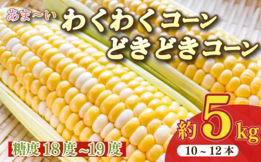 133-1　とうもろこし わくわくコーン どきどきコーン 10 ～ 12 本 約 5㎏ 糖度18 ~ 19度 甘い 美味しい おいしい 野菜 バーベキュー BBQ 産地直送 新鮮 生鮮 食品 静岡県 牧之原市 もろこしショップ ぐりぱ