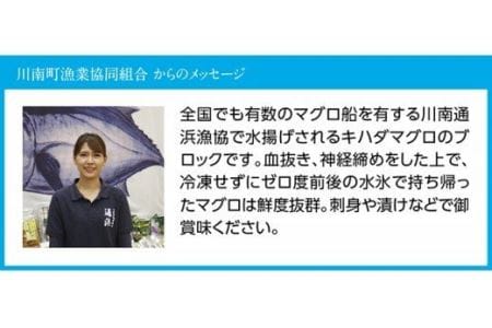 漁協直送！キハダマグロブロック（生）1kg 【 鮪 刺身 マグロ 漬け 新鮮 冷蔵 海の幸 】