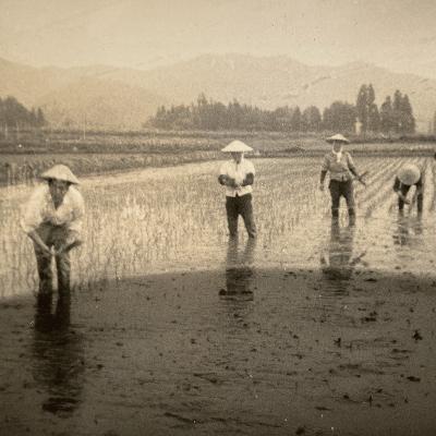 ふるさと納税 南魚沼市 【R7年産新米予約】 10kg 厳選こだわり南魚沼産コシヒカリ「こまがた農園のお米」 |  | 02