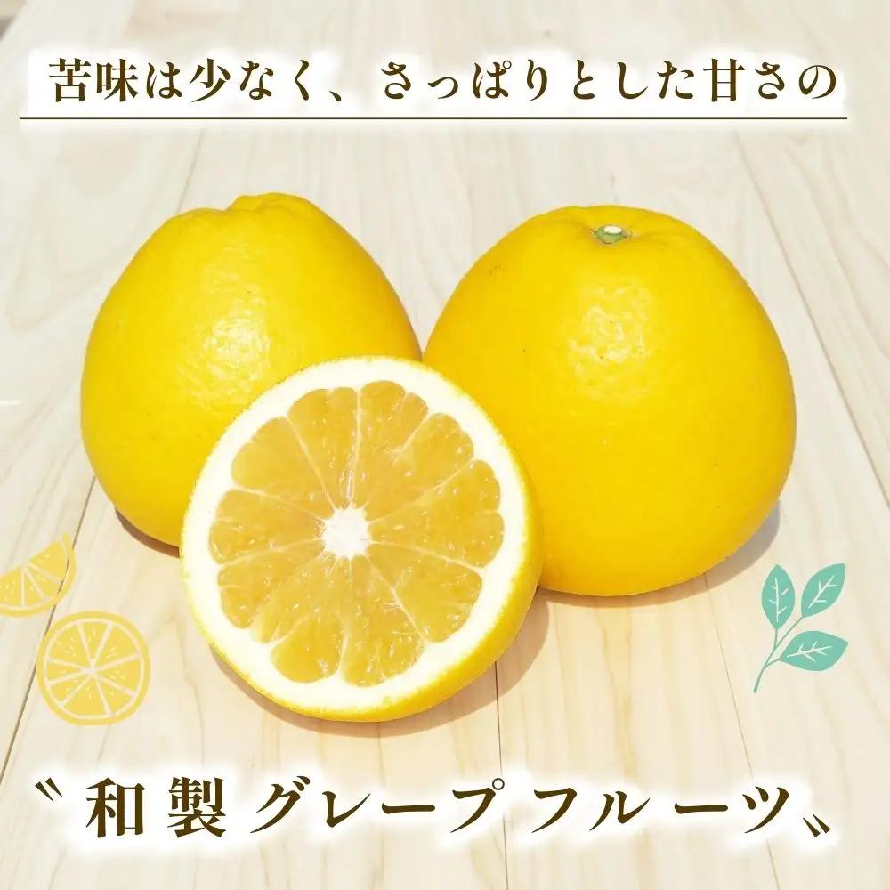  訳あり 河内晩柑 10kg 小玉 2S M サイズミックス 家庭用 愛媛県 愛南町 清家ばんかんビレッジ