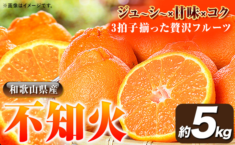【先行予約】紀州有田産不知火(しらぬひ) 約5kg  株式会社魚鶴《2026年2月上旬-3月中旬頃出荷》 和歌山県 日高町 不知火 しらぬい 柑橘 ご家庭用