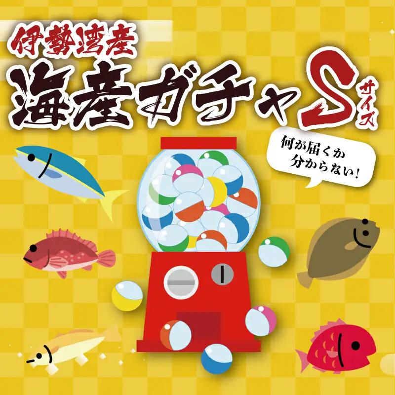 伊勢湾直送 なにが届くかな 明和の海産ガチャ Sサイズ 魚 貝 干物 海藻 新鮮 海鮮 海産 直送 海 漁師 おまかせ 旬 季節 お楽しみ 選べる内容量 I52