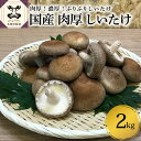 【ふるさと納税】【11月より発送開始】国産 肉厚 しいたけ 2kg 栽培期間中農薬不使用 青森 新規就農者応援 【 きのこ 肉 厚 】