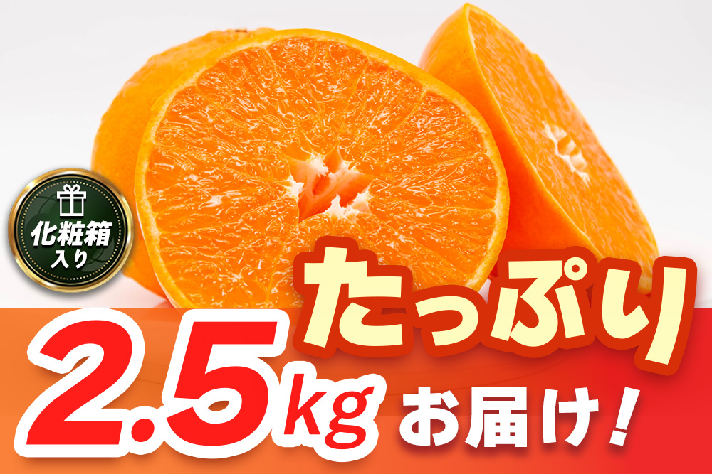 【2027年2月上旬より発送開始】【麗紅】はまさき 2.5kg【みかん 一級品 柑橘 フルーツ デザート】(H116144)