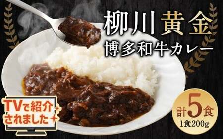【TVで話題】柳川黄金博多和牛カレー （5箱） カレー レトルト