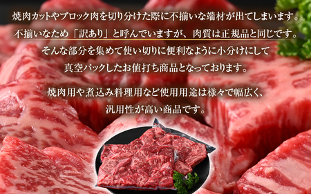 【訳あり】 若狭牛 赤身肉 500g（250g×2個）／ 国産 牛肉 A4 A5 ブランド牛 [aw009-a005]