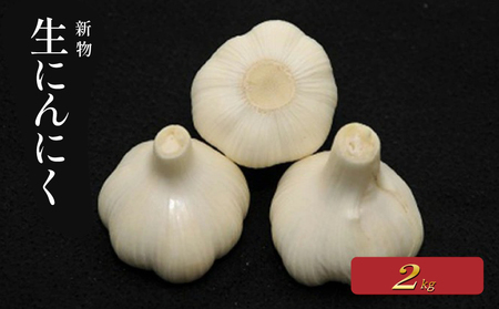 【にんにく】 生にんにく 新物 約2kg バラ 野菜 にんにく