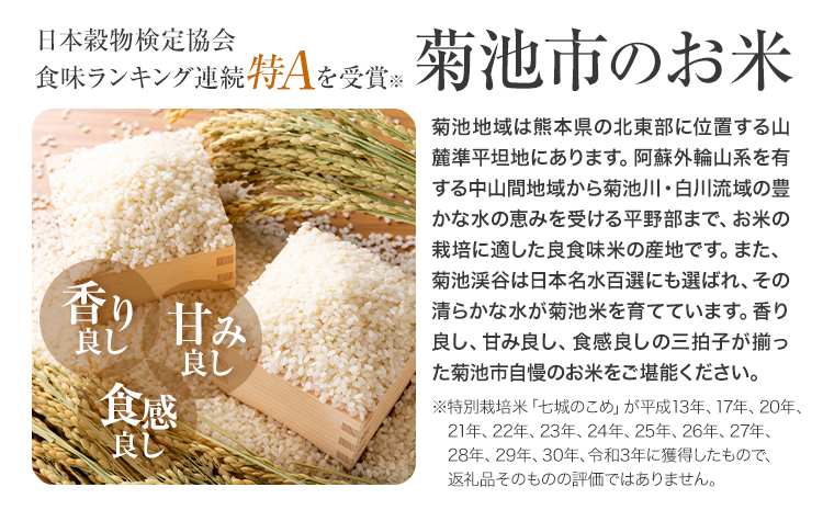 【3ヶ月定期便】熊本県産 肥後米 無洗米 白米 10kg 1袋5kg 米 お米 令和6年産 九州産 熊本県産 ブレンド米 送料無料《お申込み翌月に出荷予定》 無洗米 白米 米---026-3006mo