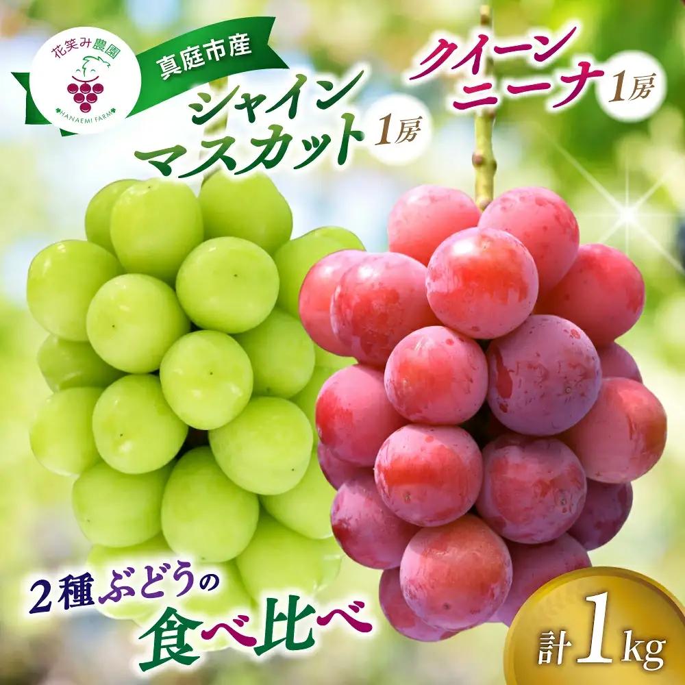 ぶどう 岡山県産シャインマスカット＆クイーンニーナぶどう 1㎏（2房）【2027年発送 先行予約】 【hana066-03】
