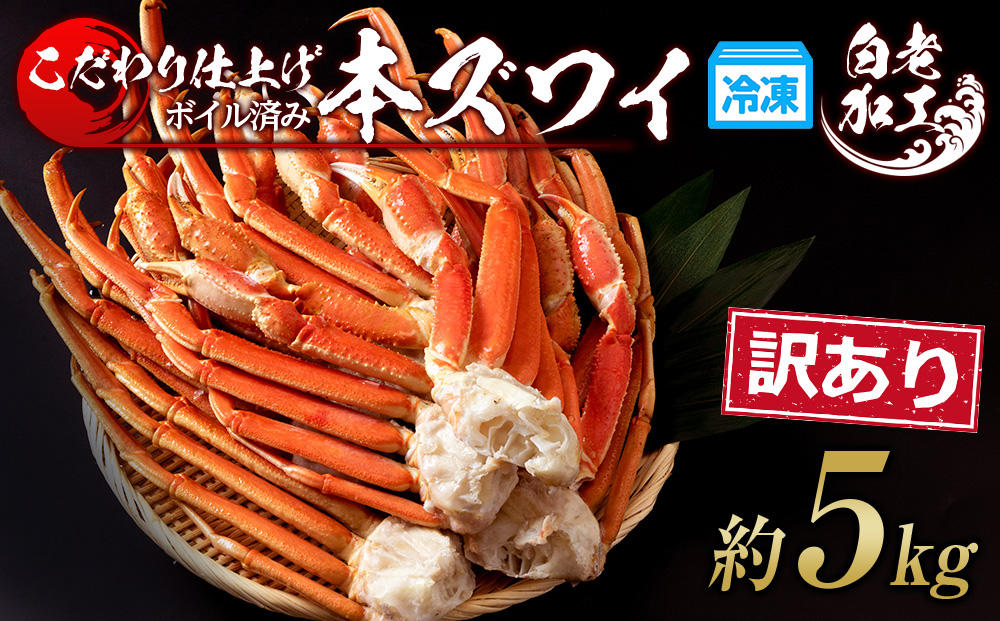 訳あり 本ズワイ蟹脚 ボイル冷凍 5㎏（14～20肩前後） ギフト プレゼント かに カニ 北海道 BM332