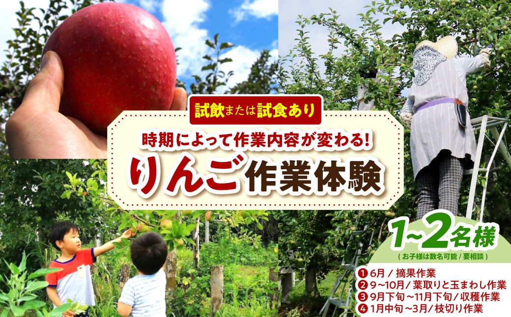 
                  りんご 作業体験 体験型 返礼品 農業 大人2名まで 子どもも一緒に！【トキあっぷる社】青森県 五所川原市 体験型返礼品 収獲体験 収穫 摘果 葉取り 枝切り
                