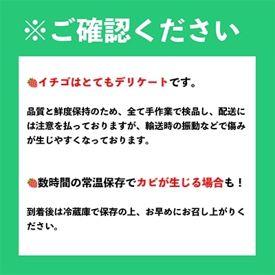 フルーツ専門店が選んだ「あまおう苺」ギフト箱(24-30粒)(大野城市)【配送不可地域：離島】【1083230】