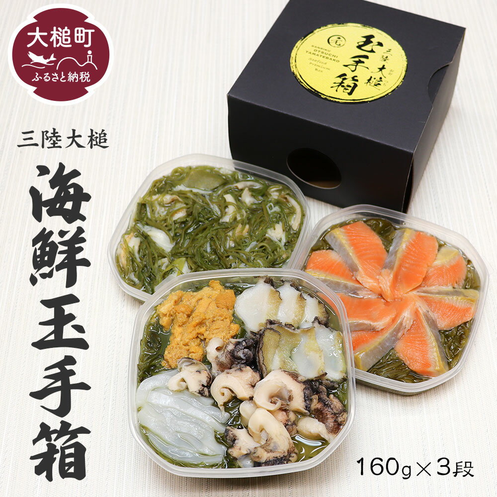 【ふるさと納税】ご贈答 三陸 玉手箱 約480g ( 160g前後 ×3段 ) おせち 人気 冷凍 小分け 食べきり 化粧箱 熨斗 のし お取り寄せ ギフト 海宝 味付 漬 海鮮丼 どんぶり ドン 大槌サーモン あわび ホタテ 岩手 いわて iwate