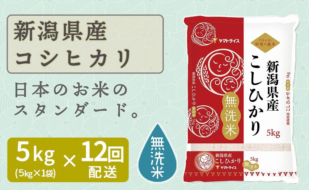 【定期便全12回】無洗米新潟県産コシヒカリ5kg（受注の翌月から毎月配送）｜新潟県　新潟　無洗米　こしひかり　米　おこめ　お米