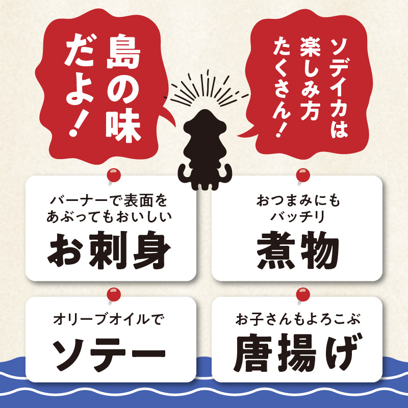 冷凍保存ＯＫ！エメラルドブルーの美しい海で育ったおいしいソデイカ冷凍ブロック約1.5キロ（5～6人前）！