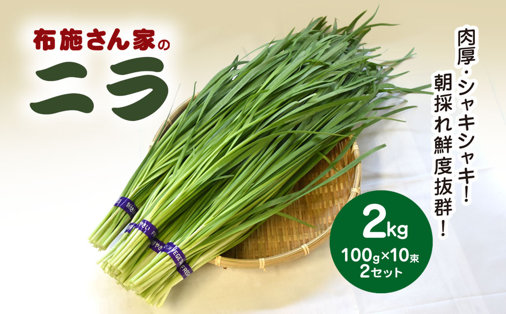 
            【先行予約】【11月から発送】肉厚・シャキシャキ! 朝採れ鮮度抜群! 布施さん家のニラ 2kg(100g×10束×2セット)  ふるさと納税 にら ニラ 朝採れ 新鮮 肉厚 シャキシャキ 農家直送 真空包装 鮮度抜群 千葉県 山武市 SMBJ002
          