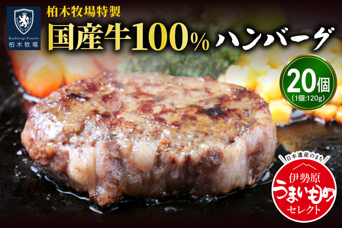 
[ジュワッと肉汁まで美味い！] 柏木牧場特製 国産牛100%ハンバーグ (120g×20個) [0068] 伊勢原市 牛肉 特製 ギフト 神奈川県 贈り物 人気 お土産 正月 肉の日 バーベキュー パーティ 冷凍便 惣菜 肉 焼くだけ
