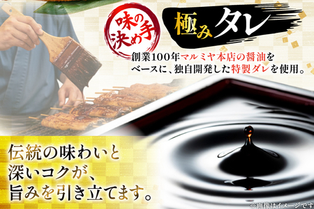 うなぎ 国産 日向極み うなぎ蒲焼 2尾 計240g以上 【たれ・山椒付き】 [日向サンパーク 宮崎県 日向市 452061502]