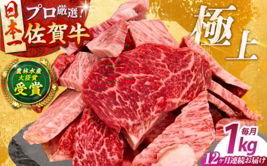 【全12回定期便】佐賀牛 焼肉 切り落とし 1kg 【田中畜産牛肉店】 佐賀牛 牛肉 精肉 肉 切り落とし [HBH153]