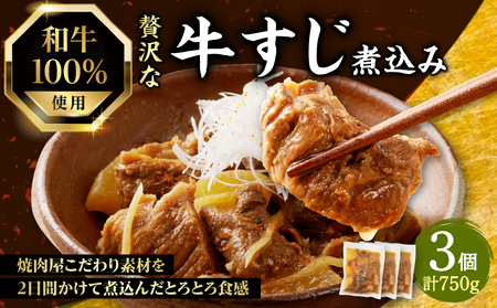 和牛100％の贅沢なすじ煮込み 250g×3個 750g 牛すじ 煮込み すじ煮込み 牛すじ煮込み  093-11