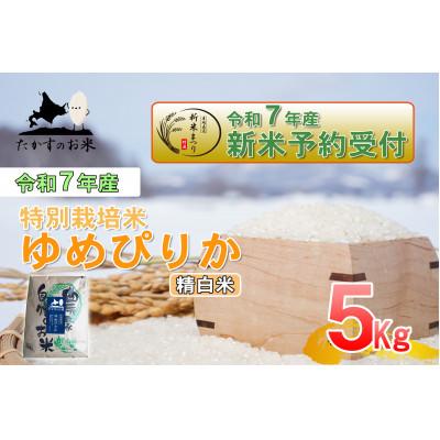 ふるさと納税 鷹栖町 令和7年産新米予約 たかすのお米 特別栽培米 ゆめぴりか 5kg(精白米)
