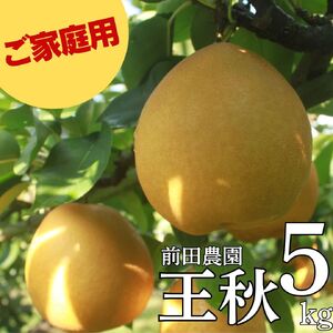 【期間限定】【ご家庭用】王秋 5kg 前田農園 ※10月下旬～11月上旬頃に順次発送予定 梨 なし おうしゅう 訳アリ 訳あり 果物 くだもの フルーツ 甘い バランス みずみずしい 赤梨 大玉 ラグビーボール 鳥取県 湯梨浜町 名産 特産品 新鮮 人気 定番 おすすめ 送料無料 贈答 進物 プレゼント 13M