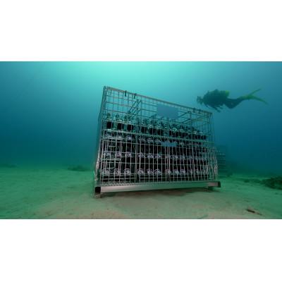 ふるさと納税 瀬戸内町 tlass SEA CELLAR 海底熟成赤ワイン750ml×1本 |  | 03