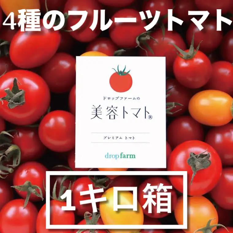 【2月発送】ドロップファームの美容トマトおまかせ1kg箱(４種ミックス)（CK-107-2）