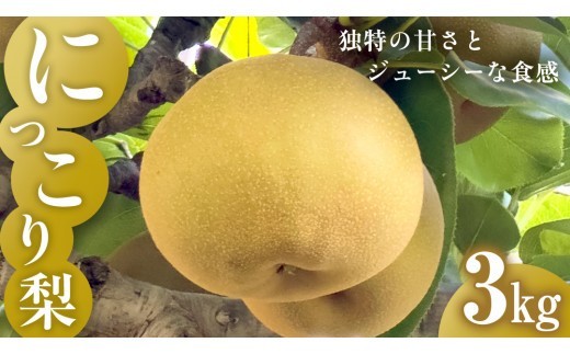 【先行予約】 梨 にっこり 3kg なし ナシ 梨 果物 くだもの フルーツ デザート 新鮮 果肉 果汁 fruit nasi ふるうつ ふるーつ 梨 3キロ ナシ フルーツ 旬 にっこり梨 ナシ 甘い みずみずしい 2026年産 特産品 産地直送 農家直送 お取り寄せ たけうち農園 茨城県 筑西市 関東