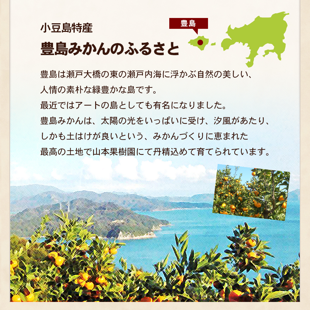 【 小豆島 】瀬戸内海に浮かぶ島・豊島の段々畠で育てられた甘～いみかん（Mサイズ5kg）1箱 豊島 みかん 蜜柑 ミカン 甘い 瀬戸内海 てしま 柑橘 フルーツ 果物 くだもの 香川 香川県 土庄 土