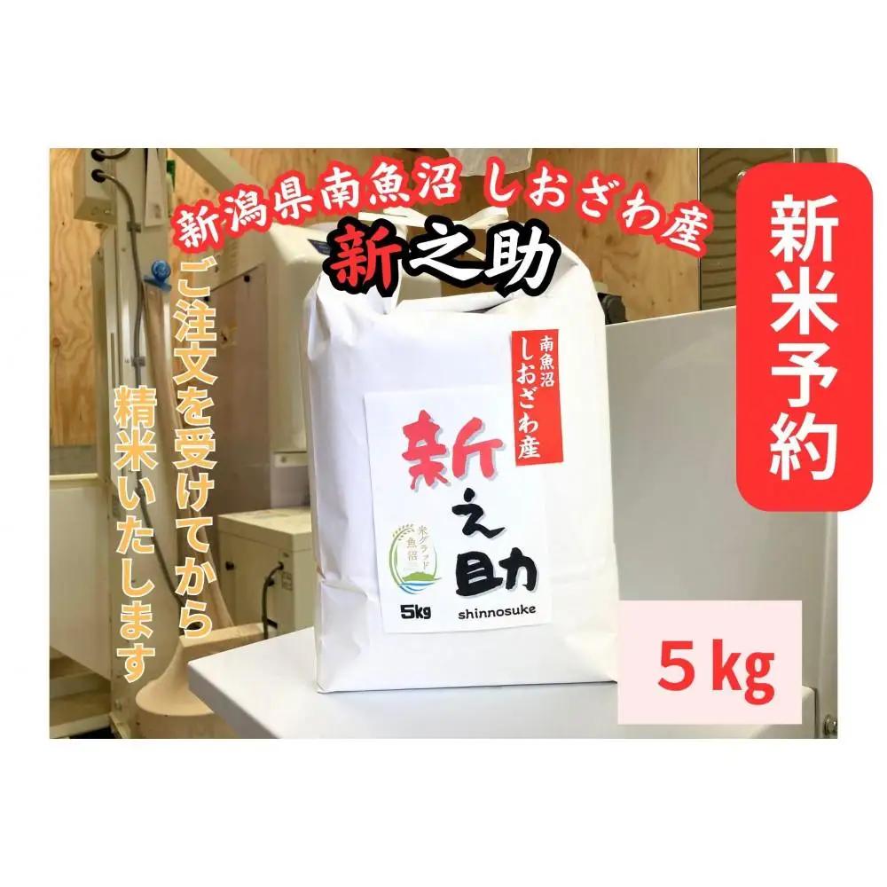 【令和8年・新米予約】新潟県南魚沼産　新之助　5kg　大粒でツヤがあるこれまでにないお米【2026年10月中旬より1ヶ月以内に順次発送予定】｜新之助