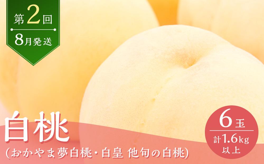 桃 2024年 先行予約 岡山の旬の桃 定期便 3回コース もも モモ 岡山県産 国産 果物 ギフト
