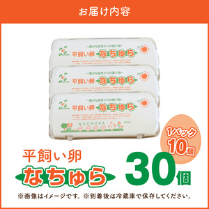 平飼い卵 なちゅら 30個 _KJF0106