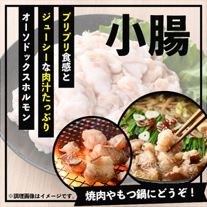 【数量限定】鹿児島県産黒毛和牛の小腸 ホルモン 900g(300g×3P) 国産 鹿児島県産 黒毛和牛 モツ 生ホルモン 生冷凍ホルモン お取り寄せ【L-003H】