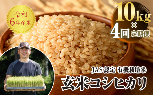 ＜定期便4ヶ月＞ JAS認定 有機栽培米 西会津産米コシヒカリ 玄米 10kg（5kg × 2） F4D-1324