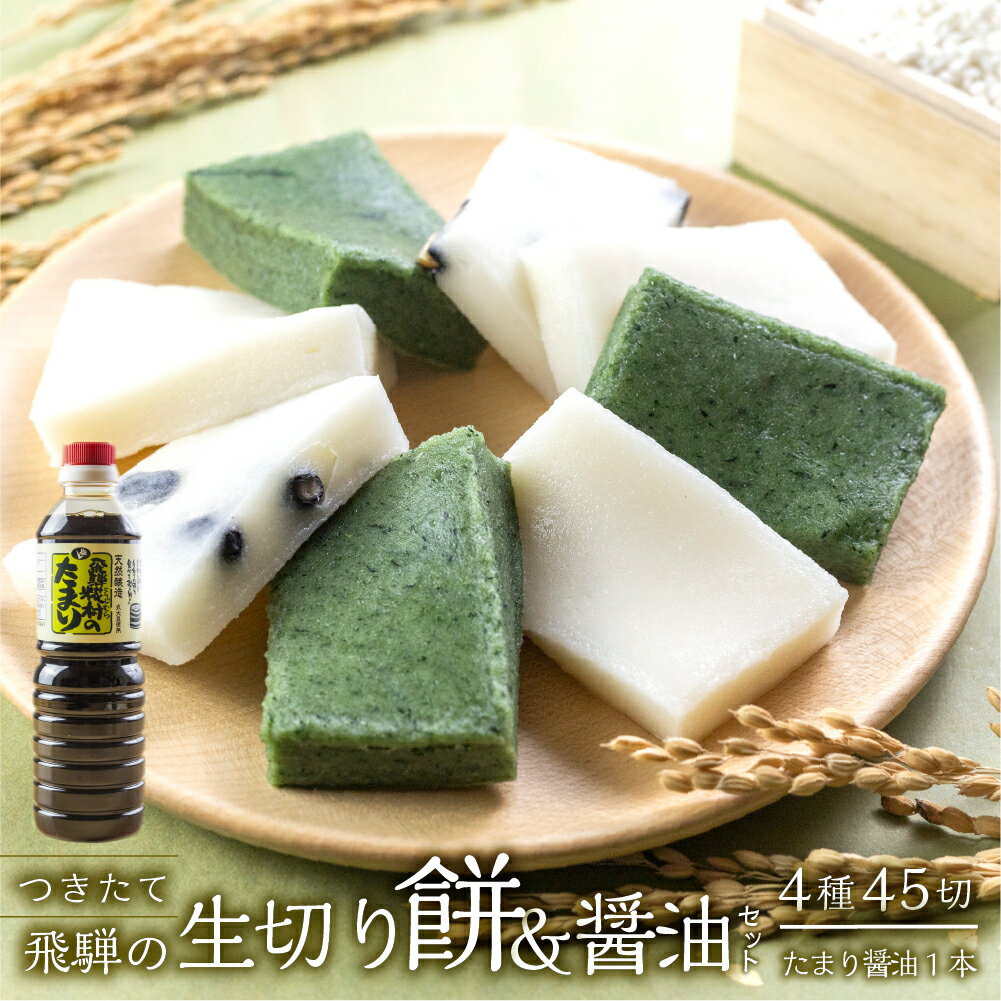 【ふるさと納税】先行予約【発送期間】2026年11月中旬頃から3月下旬まで　飛騨の生切りもち 4種とたまり醤油セット（白餅 2枚、草餅・豆餅・きび餅 各1枚、たまり醤油1本入）のうさん糀村 24000円　岐阜県 下呂市
