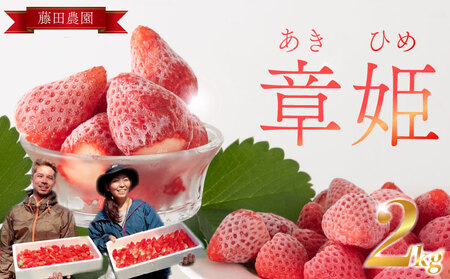 冷凍いちご  2kg 章姫 国産   静岡県 牧之原市 藤田農園