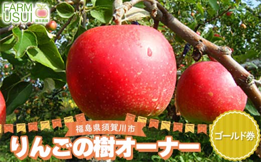 りんごの樹のオーナー ゴールド（サンふじ300個） 体験 農作業 収穫 りんご リンゴ 林檎 デザート フルーツ 果物 くだもの F7X-0482