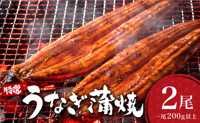 
            うなぎ蒲焼き 400g (200g×2尾) ／ 国産 蒲焼き 長焼き ウナギ 鰻 蒲焼 冷凍 贈答 うなぎ
          