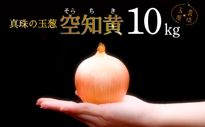 
            真珠の玉葱 空知黄10kg≪海のミネラルで育てた幻の玉葱空知黄≫【50106】
          