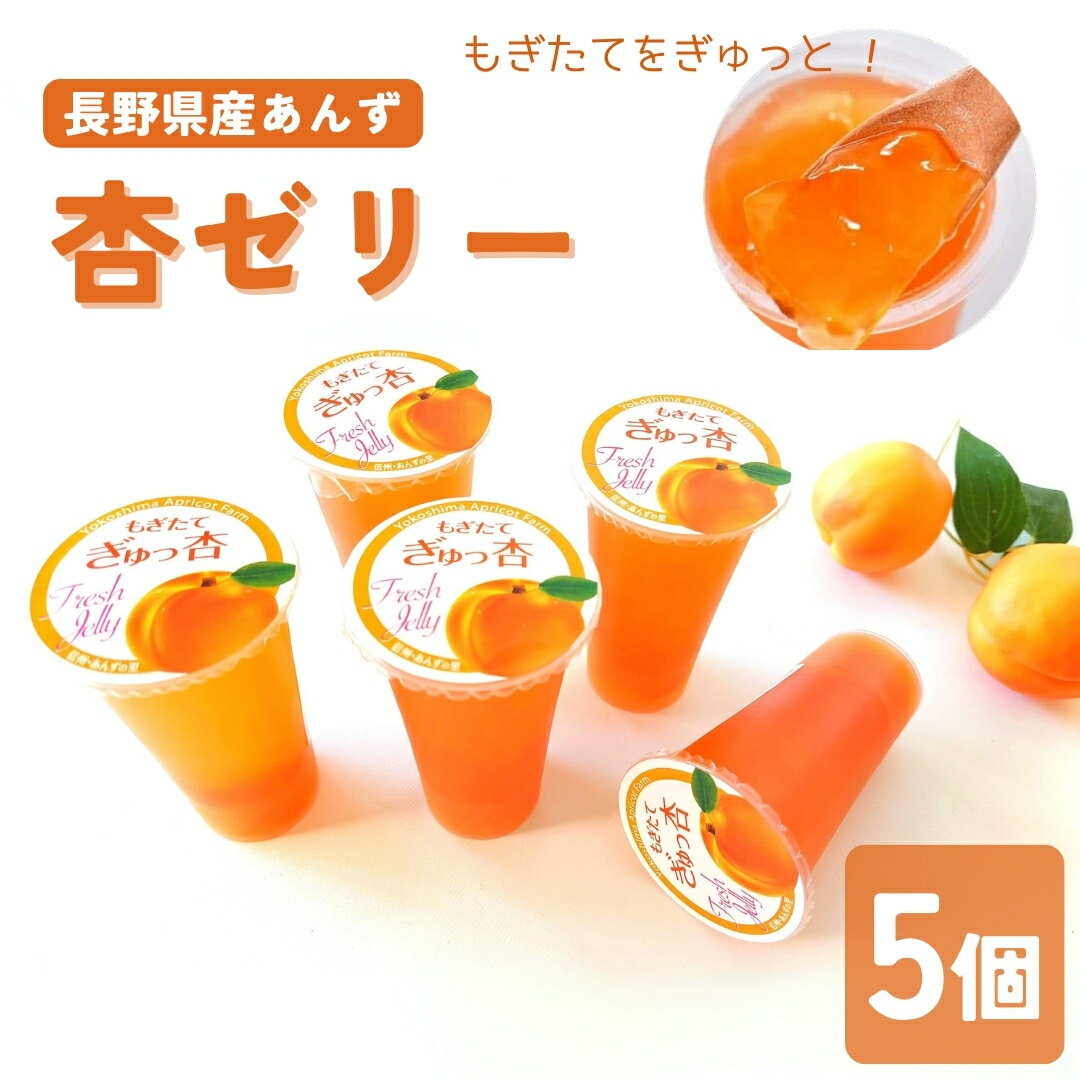 【ふるさと納税】あんず ゼリー(長野県産あんず) 5個 ギフトセット｜ 杏子 アンズ おやつ デザート スイーツ 軽食 国産 千曲市 長野県産 信州