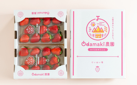 M-CF1.【2月～3月上旬発送】減農薬いちご「古都華」4パック 特別栽培農産物 ※配送地域限定