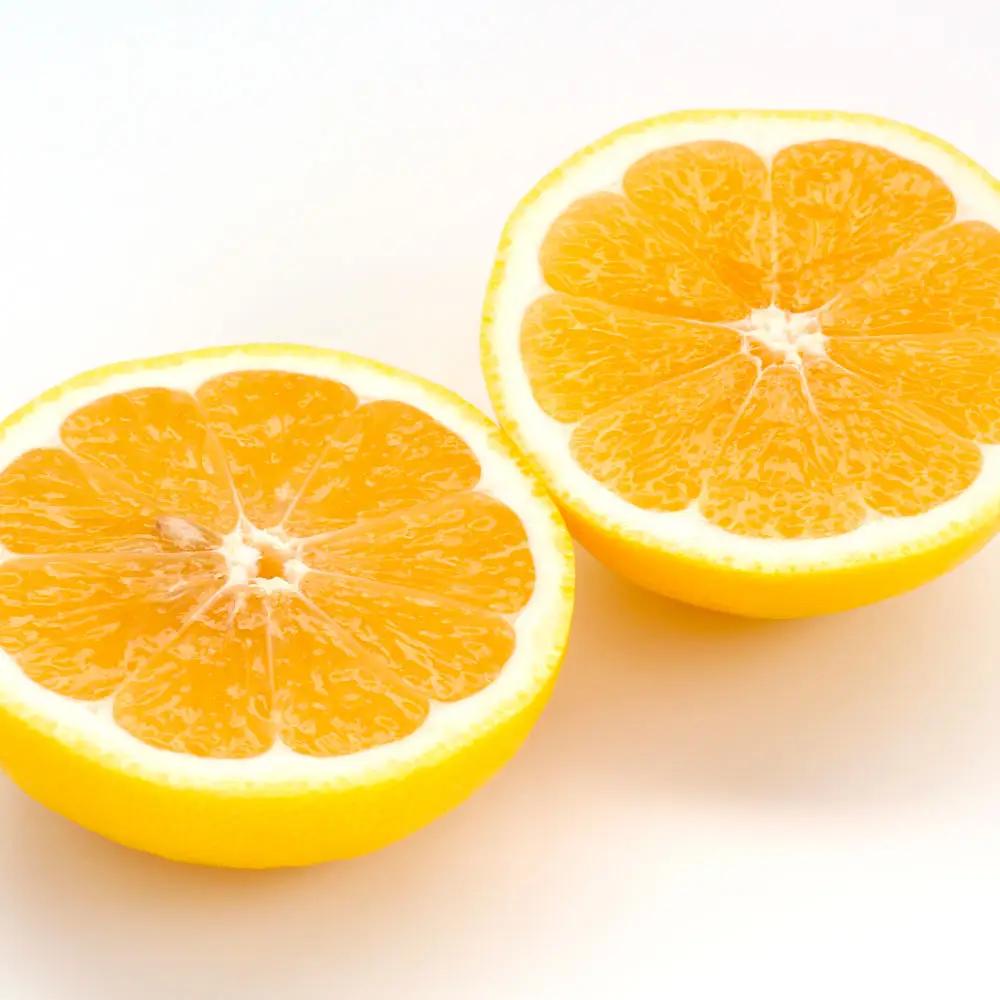 【先行予約】【先行予約】自然の味をそのままに旨味の塊ハウス小夏約5kg〈2027年4月下旬から発送開始〉高知県土佐市 【やの一果彩】 [BQAC037]