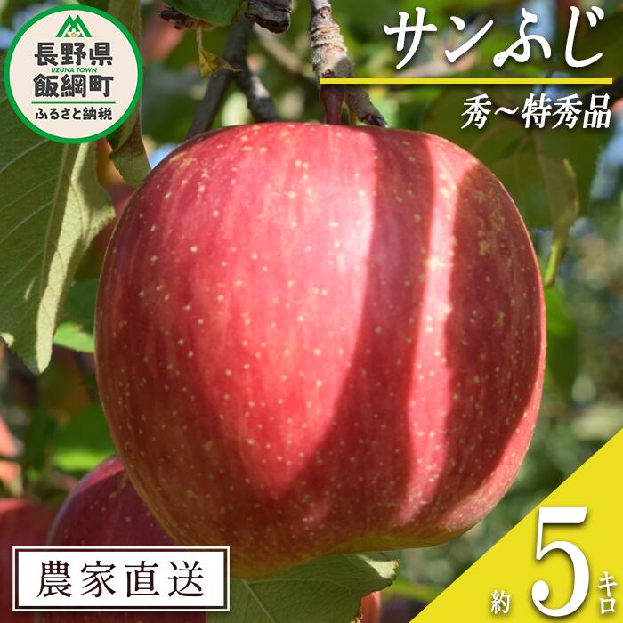 【ふるさと納税】 りんご サンふじ 秀 〜 特秀 5kg 丸山りんご園 沖縄県への配送不可 令和7年度収穫分 長野県 飯綱町 〔 信州 果物 フルーツ リンゴ 林檎 長野 16000円 予約 農家直送 〕発送時期：2025年12月上旬〜2025年12月下旬 {***}