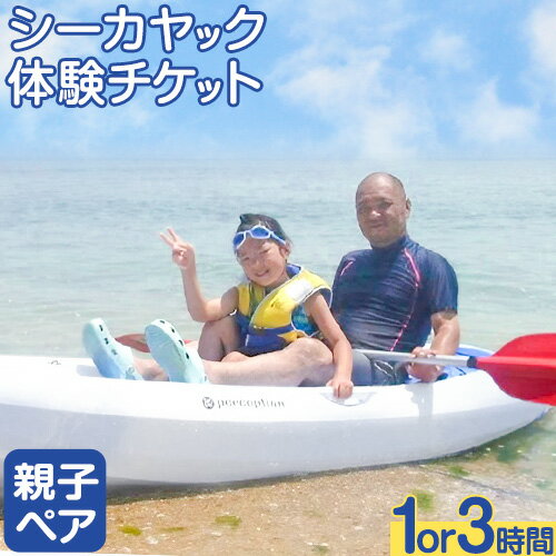 【ふるさと納税】シーカヤックチケット 親子ペア 選べる体験時間 1時間 3時間 NPO法人あさくちスポーツクラブ遊ぶところ《90日以内に発送予定(土日祝除く)》岡山県 浅口市 シーカヤック カヤック 体験 親子 ペア チケット 海